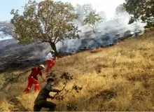 تشکیل ۲ پرونده برای آتش‌سوزی جنگل‌های گلستان/ ۷ نفر احضار و یک نفر بازداشت شد