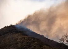 آتش در ۱۵۰۰هکتار جنگل لرستان/ شناسایی عامل حریق اراضی پلدختر