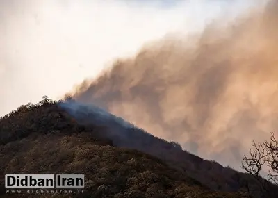 آتش در ۱۵۰۰هکتار جنگل لرستان/ شناسایی عامل حریق اراضی پلدختر