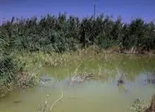 چرا هورالعظیم خشک شد؟