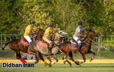 تبریز قطب چوگان کشور خواهد شد