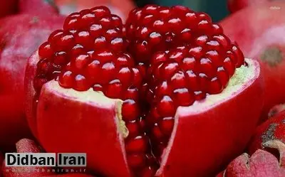 ۷ خاصیت انار درمان فشار خون و کاهش کلسترول تا درمان درمان دیابت 