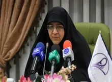 بحث تساوی جنسیتی به بنیاد خانواده لطمه جدی وارد می کند/ نمی توانیم بگوییم خورشید کار ماه را انجام دهد