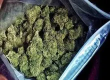 موادفروش سابقه‌دار در شوش دستگیر شد/ کشف ۱۱ کیلوگرم گل