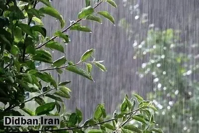 وقوع بارش پراکنده باران در شمال غرب و سواحل دریای خزر