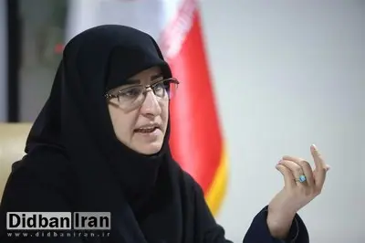 رضوان حکیم زاده:  ۸۹ هزار دانش‌آموز اول ابتدایی در سال جاری از تحصیل بازمانده اند