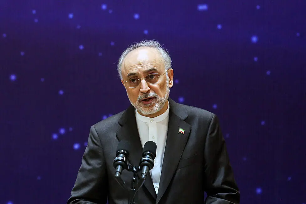 مثلث ترسیمی علی اکبر صالحی برای سیاست خارجی ایران؛ به روسیه نزدیک باشیم یا آمریکا؟/ انقلاب اسلامی مردمی بود اما بدون برنامه حکمرانی نداشت