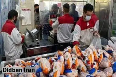 نهاده‌های دامی ته کشید؛ مرغ گران می‌شود؟