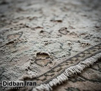 روش های مبارزه با بیدزدگی فرش