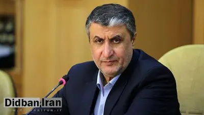 رییس سازمان انرژی اتمی: «نصب دوربین‌های آژانس فراتر از تعهدات ایران» کذب است