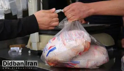 احتمالاً فروش مرغ «کوپنی» می شود