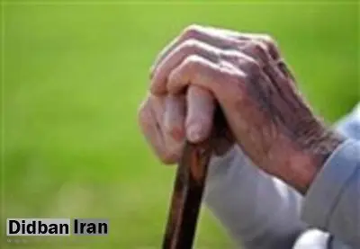 دهه شصتی‌ها در سال ۱۴۳۰؛ سالمندی یک نسل پرجمعیت/  ایران تا ۶ سال دیگر یک میلیون سالمند مجرد خواهد داشت