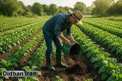 ایران در تولید محصولات ارگانیک رتبه ۷۹ را دارد
