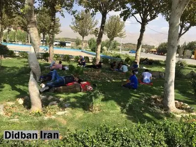 حضور اندک سرخابی‌ها در استادیوم آزادی
