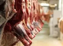 کاهش عرضه گوشت قرمز و طیور در تیرماه