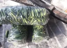 خیار هم لاکچری شد؛ رشد ۱۲۰ درصدی قیمت در یک سال!