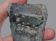 محققان دانشگاه کالج لندن: فولاد کرومیوم اولین‌بار در ایران باستان تولید شد