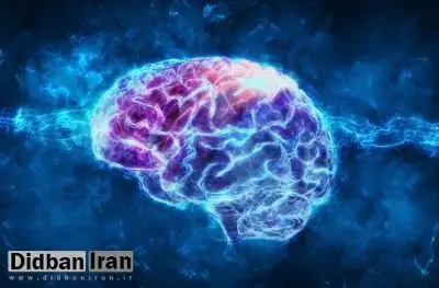 یافتههای تازه؛ پنج حس برای انسان کافی نیست، حافظه با هفت حس کاملتر میشود