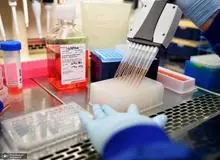 کدام کشورها  واکسن کرونا را احتکار کردند؟+اسامی