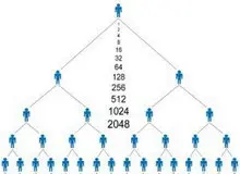 دستگیری ۲۰ سرشاخه یک شرکت هرمی در رامسر
