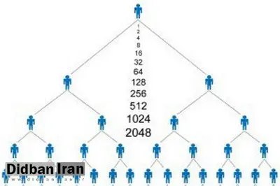 دستگیری ۲۰ سرشاخه یک شرکت هرمی در رامسر
