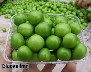 ماجرای گوجهسبز ۴ میلیون تومانی در تجریش/ این گوجهسبزها از کجا آمده است؟