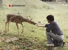 عکسی دیده نشده از استاد محمدرضا ‎شجریان، سال ۲۰۰۲، آمریکا