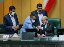 رای‌گیری درباره اعتبارنامه تاجگردون خلاف بود؟
