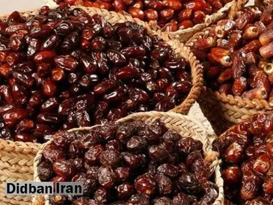 افزایش۵۰ درصدی قیمت خرما در آستانه ماه رمضان/ هر کیلو خرما تا ۱۰۰ هزارتومان