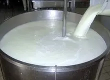 شیرخام گران شد/ قیمت جدید و جزییات