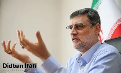 نایب رئیس مجلس: دولت با دستکاری آمار نرخ رشد جمعیت و ایجاد محدودیت سنی برای وام ازدواج مشکلاتی در افزایش جمعیت ایجاد کرده