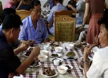  خوردن گوشت سگ در کره شمالی برای فرار از گرما+تصاویر 