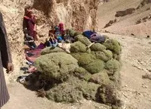 آوارگی پنج هزار شیعه هزاره توسط طالبان/ کودکان و کهنسالان در معرض مرگ