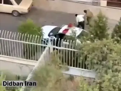 توضیح پلیس درباره برخورد زشت یک مامور و سربازوظیفه با سگگردانی/ صاحب سگ به مامور ما «فحاشی» میکرد