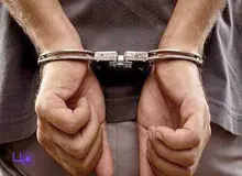 صاحب سگی که به زن باردار حمله کرد بازداشت شد