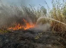 نماینده اهواز: دود هورالعظیم نفس مردم خوزستان را تنگ کرده/ باید ریزگرد‌ها به تهران برسد تا برای استان‌های غرب کشور و خوزستان اقدامی شود؟