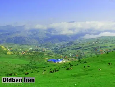 تصاویری زیبا از پاییز جنگل دیلمانِ گیلان