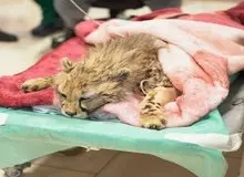 ردپای "ا.م" در مرگ "پیروز" با تجویز داروی اشتباه!