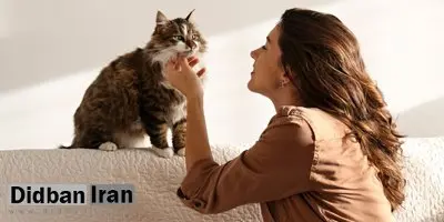 هوش مصنوعی زبان گربهها را ترجمه میکند!