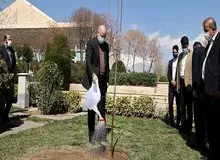 قالیباف هم یک اصله نهال سیب غرس کرد