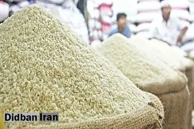 قیمت برنج وارداتی بورسی شد