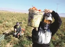 دستمزدهای نابرابر