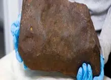 مردی که دنبال طلا بود اتفاقی گنجی ارزشمندتر پیدا کرد+ عکس