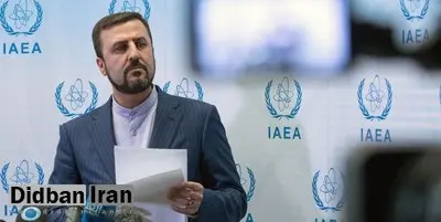 غریب آبادی: غنیسازی در نطنز متوقف نشده / چند اقدام فنی در واکنش اولیه به خرابکاری برنامهریزی شده است