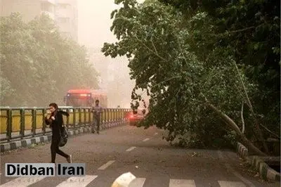 ۸۰ مصدوم و ۹ کشته به دلیل رعد و برق و باد شدید در اردیبهشتماه
