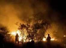 رییس سازمان محیط زیست: آتش‌سوزی الیت ۲۰ روز مداوم نبود/ آتش‌سوزی‌ها در ابتدا به‌صورت لکه‌ای و پراکنده رخ می‌داد اما از ۲۴ آبان آتش دیگر خاموش نشد