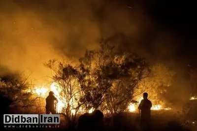 رییس سازمان محیط زیست: آتش‌سوزی الیت ۲۰ روز مداوم نبود/ آتش‌سوزی‌ها در ابتدا به‌صورت لکه‌ای و پراکنده رخ می‌داد اما از ۲۴ آبان آتش دیگر خاموش نشد