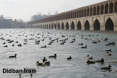 زاینده رود جان می‌گیرد