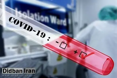سویه جدید کرونا در جریان نیست