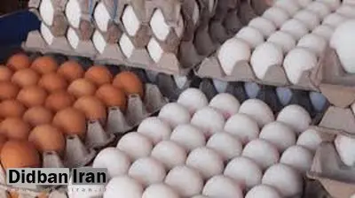 قیمت هر شانه تخم مرغ به ۴۵ هزار تومان رسید